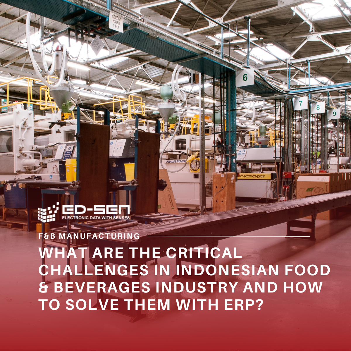What Are the Critical Challenges in Indonesian Food & Beverages Industry and How to Solve Them with ERP?